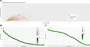 Image result for Sphaerocyperus erinaceus
