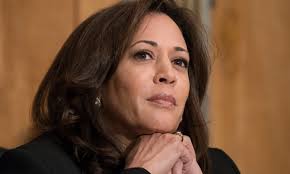 Down Girl by Kate Manne review