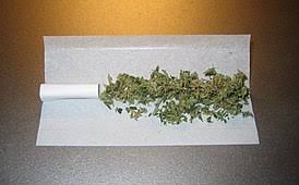 Что входит в состав семян конопли. Marihuana Vikipediya