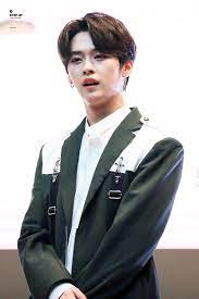 pin by sara sidi on lee know minho 민호 stray kids lee know stray kids lee know stray kids minho