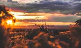 Image result