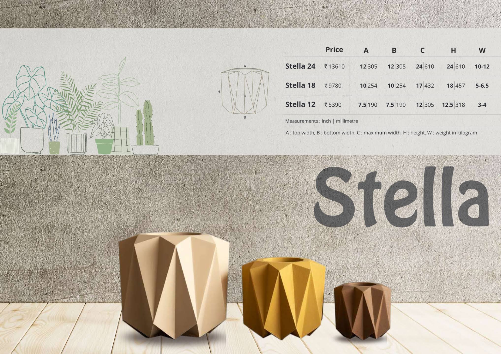 Stella - 12" to 24" product image