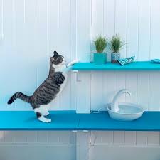 Petstages cat dental mint stick cat toy | petco. Ocean Themed Catio At Rancho Coastal Humane Society