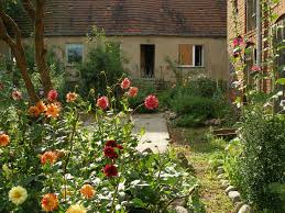 Dahlien Plants Garden