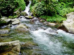 Curug cipendok berada di kawasan wana wisata objek wisata curug cipendok yang mana objek wisata di sana tidak hanya curug cipendok diceritakan bahwa asal muasal nama curug cipendok berasal dari sebuah peristiwa yang dialami oleh raden ranusentika yakni pemimpin wilayah. Curug Cipendok Waterfall Tanah Jawa
