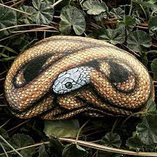 Bairds Rat Snake Painted On A Rock I Found Near My Home Snake Paintedrocks Amylenore Nature Wildlife Uniquea Hand Painted Rocks Painted Rocks Rock Art