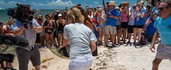 And frankly, it's the only reason i can ever find which is why i owe so much to this island, and why i can never understand the huddle of spring breakers. The Florida Keys Samantha Brown S Places To Love