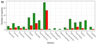 Image result for Scleria melanomphala