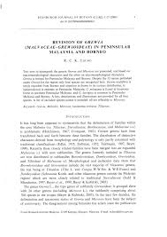 Image result for Grewia schmitzii