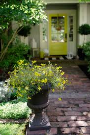 It provides drainage and keeps the flowers up off the ground. Unique Container Gardening Ideas Modern Glam
