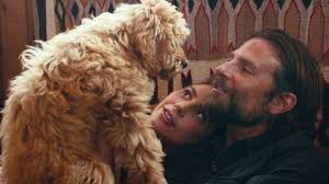 'he sings from his soul'. A Star Is Born Grosse Liebesgeschichte Oder Das Bild Einer Toxischen Beziehung Stern De