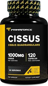 Image result for Cissus