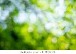 Green Bokeh On Nature Abstract Blur Background Green Bokeh From Tree Blur Background Photography Bokeh Blurred Background
