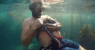 I had been outdoor dining with friends in a garden. My Octopus Teacher On Netflix Is The Love Story We Need