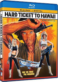 Amazon.com: Hard Ticket to Hawaii : Ronn Moss, Dona Speir, Hope Marie  Carlton, Andy Sidaris: Movies & TV