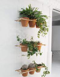 Pin By Mikenzie Schwalger On Home Inspiration With Images Hanging Garden Hanging Plants Plants