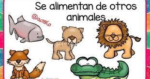Pin En Proyecto Animales