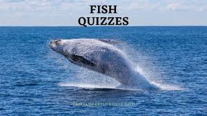 Depending on the species will determine what stages and names a baby fish are referenced by. 99 Fish Quizzes And Answers To Solve With Confidence Trivia Qq
