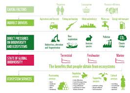 You can create your very own. A Biodiversity Scientist Explains The Problem With Our Neat Lawns World Economic Forum