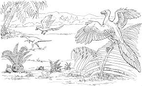 Flugsaurier Malvorlage Coloring And Malvorlagan