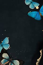 Butterfly wallpaper iphone iphone background wallpaper retro wallpaper aesthetic pastel wallpaper aesthetic backgrounds aesthetic wallpapers wallpaper patterns animal wallpaper wallpaper. Black Wallpaper Butterfly Images