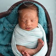 BBOS Client Galleries