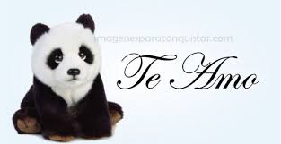 Imagenes De Pandas Tiernos Imagenes De Pandas Tiernos Imagenes De Pandas Dibujos De Pandas Tiernos