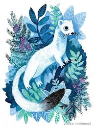 Winter Ermine Illustration White Stoat Art Print By Aimee Lockwood Dark Material His Dark Materials Illustration