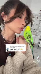 Antwort auf @Bee Zee @Yasmin🪶 thx Gecko ❤️😄🦜 #budgies #budgiesoftiktok  #wellensittich #bird #cockatielsoftiktok #fyp #fy #foryoupagе #foryou  #birdsoftiktok #parakeetsoftiktok🦜 #birdsounds #virał ...