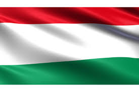 Go here right now to print flags of hungary, country maps, coloring pages, and more. Hungary Flag Waving Fabric Texture Graphic By Bourjart 20 Creative Fabrica