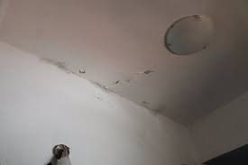 We did not find results for: Plafond De La Salle De Bain Qui S Effrite Bild Von Arbatax Park Resort Telis Sardinien Tripadvisor