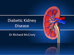 What is diabetic kidney disease? Diabetes Kidney Disease