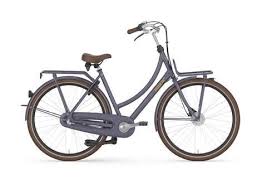 Pin By Eva Maguire On Gear Dutch Bike Bicycle Shop Bicycle