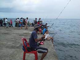 Ukuran ikan yang cukup besar dan sensasi perlawanan yang cukup kuat menjadi hal yang menyebabkan memancing ikan ini sangat digemari. Umpan Apa Untuk Mancing Di Laut Alami Dan Resep Mancingikan Net 2021 Mancingikan Net 2021
