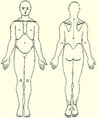 Physiotherapy Assessment Subjective Wikibooks Open Books