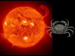 Though more common in people of advanced age, some leukemias and lymphomas are common in young individuals of reproductive age or even children. Workplace Relationships Effective Professional Relationships Building Relationships At Work Relationship Times Of India Lifestyle Page 10