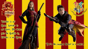 Here are only the best gryffindor wallpapers. Best 44 Quidditch Wallpaper On Hipwallpaper Harry Potter Quidditch Wallpaper Quidditch Hogwarts Wallpaper And Ravenclaw Quidditch Wallpaper