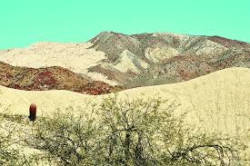Anza Borrego S Lycium Wash Via Split Mountain Road A More Primitive Experience San Diego Reader