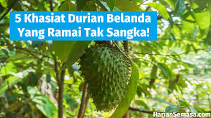 Tak jarang, mereka juga memilih membeli bibit pohon durian unggul atau bibit yang sudah berukuran besar, dengan harapan. Buku Mengenai Pokok Durian Kaedah Terbaru Cantum Durian Supaya Berbuah 3 Tahun Dalam Berbicara Mengenai Harga Pokok Penjualan Maka Akan Kita Temukan 3 Macam Harga Pokok Lainnya Yaitu Hara