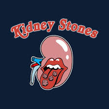 Kidney Stones By Boggs Nicolas Kidney Stones Funny Kidney Stones Kidney