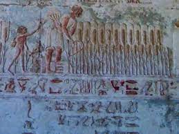 الزراعة فى حضارة مصر القديمة دراسة بحثية كاملة بالصور سيفجردز للتاريخ والآثار painting art agriculture