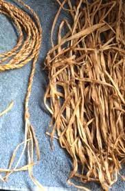 Rope Made From Bluebell Leaves That Dried How To Make Rope Basket Weaving Rope