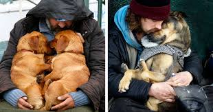 Create a comfortable space for the dog. 49 Photos That Prove Dogs Love You No Matter How Much Money You Don T Have Bored Panda