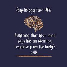 But, if you guessed that they weigh the same, you're wrong. 100 Psychology Facts About Human Behaviour 2021 Leverage Edu