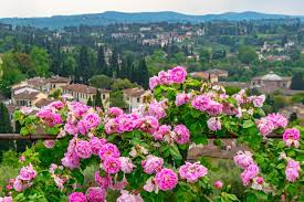 It is a town in the italian region of campania which was completely buried in volcanic ash after the eruption of nearby mt. 19 Best Day Trips From Rome Italy How To Get There