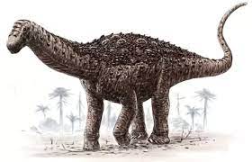 Herbivorous dinosaur with three horns How Dangerous Were Herbivorous Dinosaurs Quora