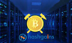 Why Is Bitcoin Cloud Mining A Profitable Move Hashgains Blog Cloud Mining Bitcoin Bitcoin Mining Rigs