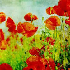 Discussion The Art Of Resistance Pablo Neruda S Poems Are Timeless Protest Anthems