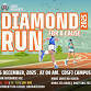 CDSFJ Diamond Run For a Cause event image