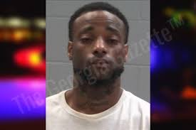 Megan Hogan: https://thegeorgiagazette.com/baldwin/megan-hogan/